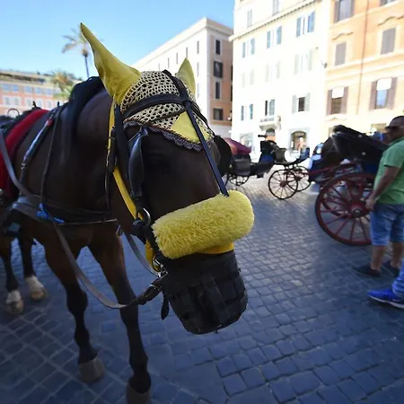 B&B Al Centro Storico Di 3*